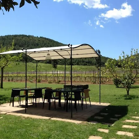 Bauernhof Wine Leda D'ittiri *